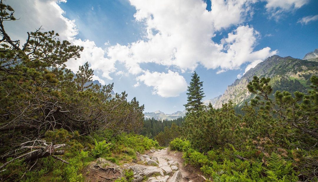 Small Path in the Middle of High Tatras